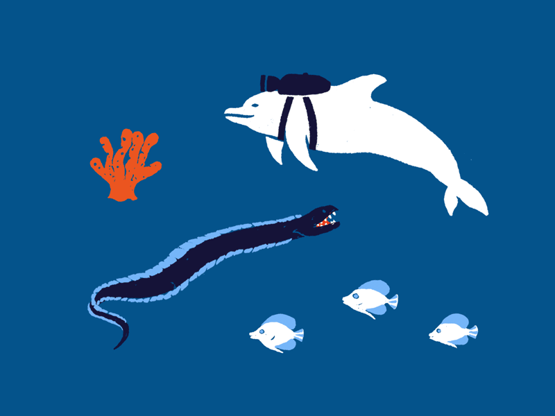 800x600 Life Aquatic Sea Life