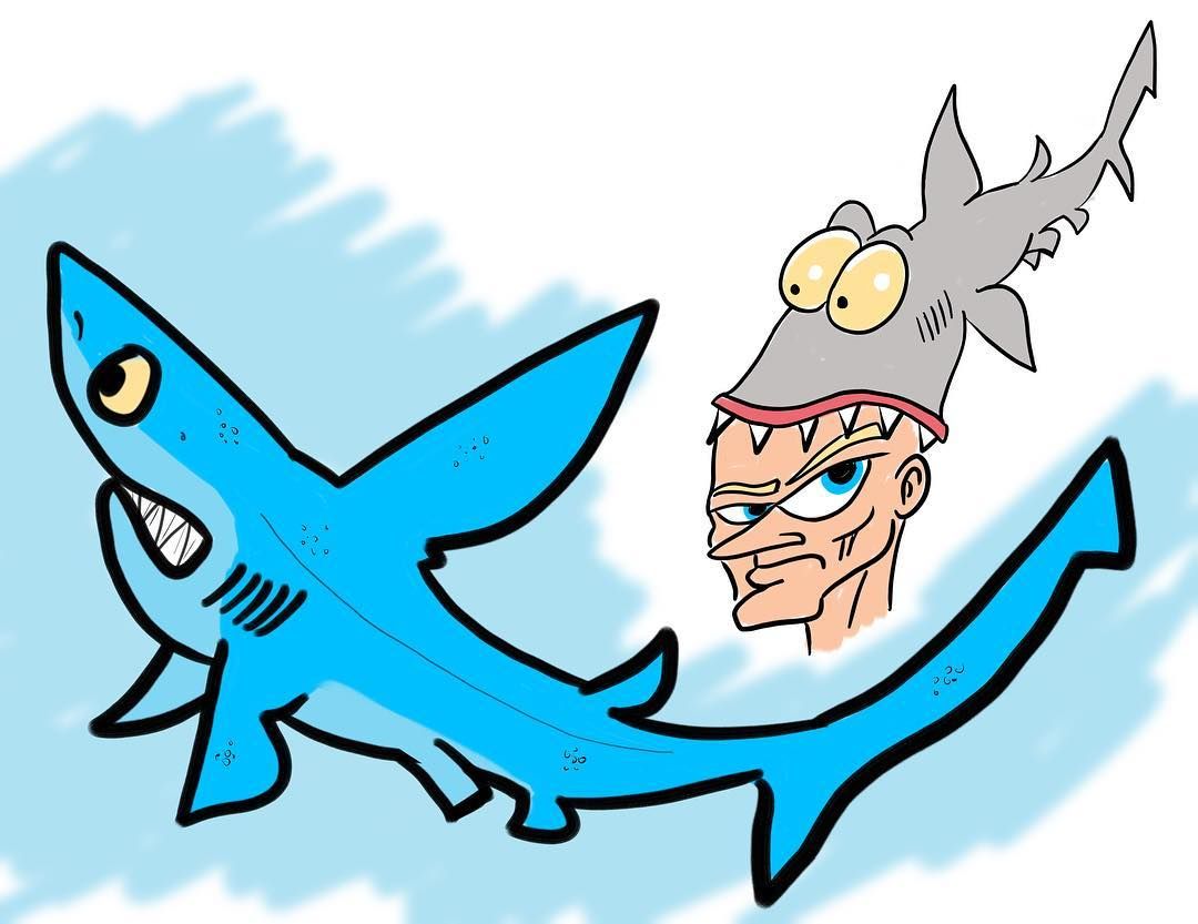 1080x833 Shark And Shark Hat