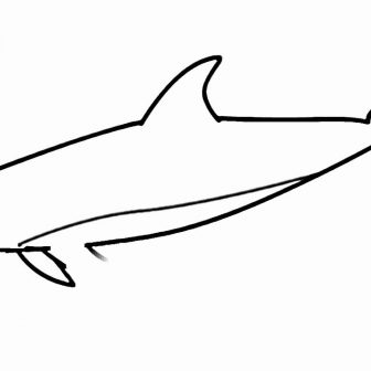 336x336 Ocean Drawing Black And White Arctic Easy Animals Pencil Aesthetic