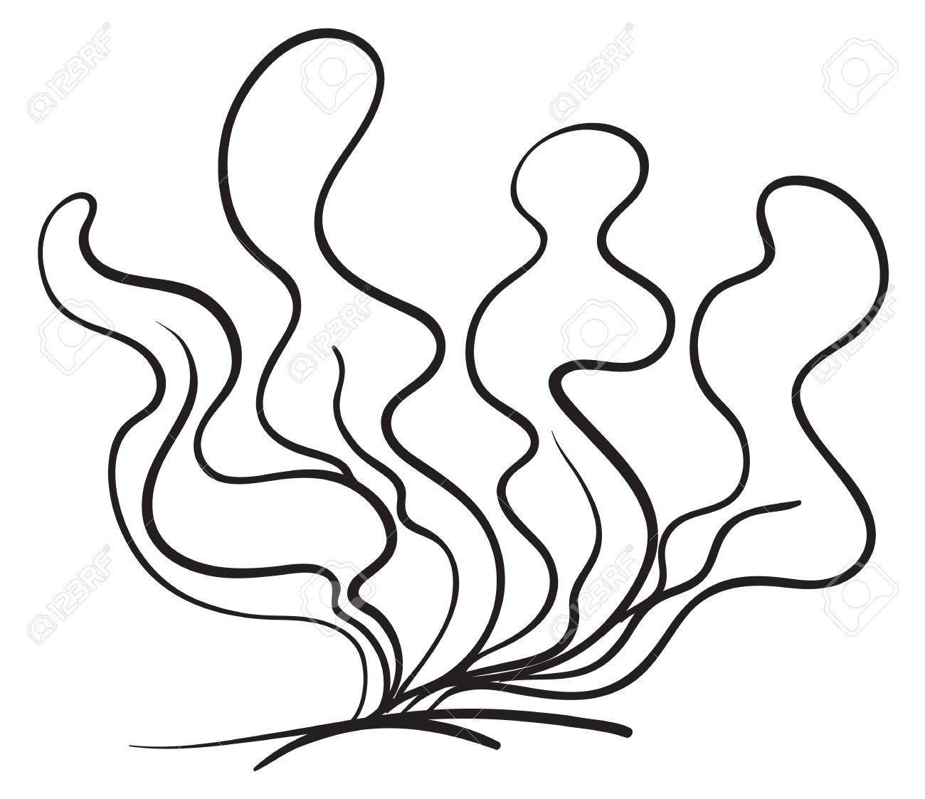 1300x1123 sea plants drawing fresh ocean plants coloring pages for sea