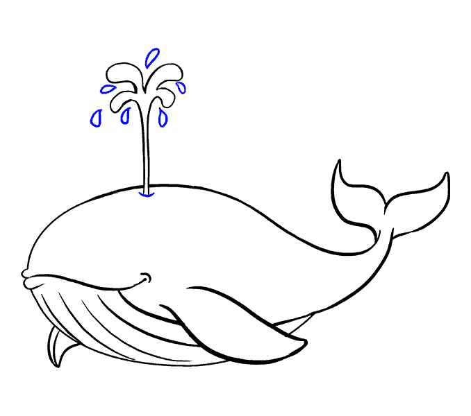 678x600 How To Draw A Whale In A Few Easy Steps Easy Drawing Guides