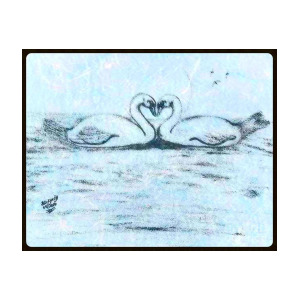 300x300 Swan Lake In Pencil Drawing