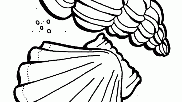 585x329 Homely Idea Sea Plants Coloring Pages Wonderful Of Complete Free