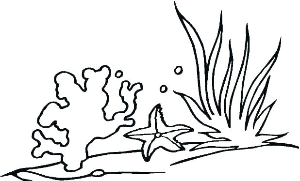 618x374 Ocean Plants Coloring Pages