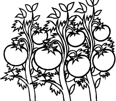 375x329 Plant Coloring Pages Coloring