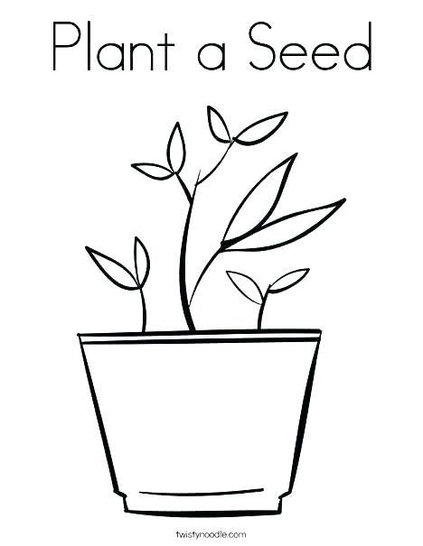 468x605 Sea Plants Coloring Pages Ocean Seascape Colouring For Pictures