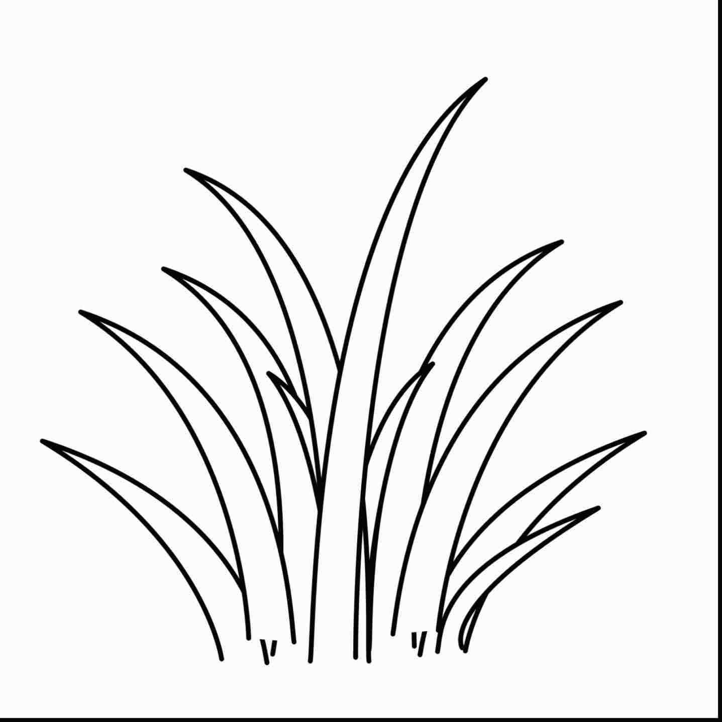 1437x1437 How To Draw Ocean Plants Step