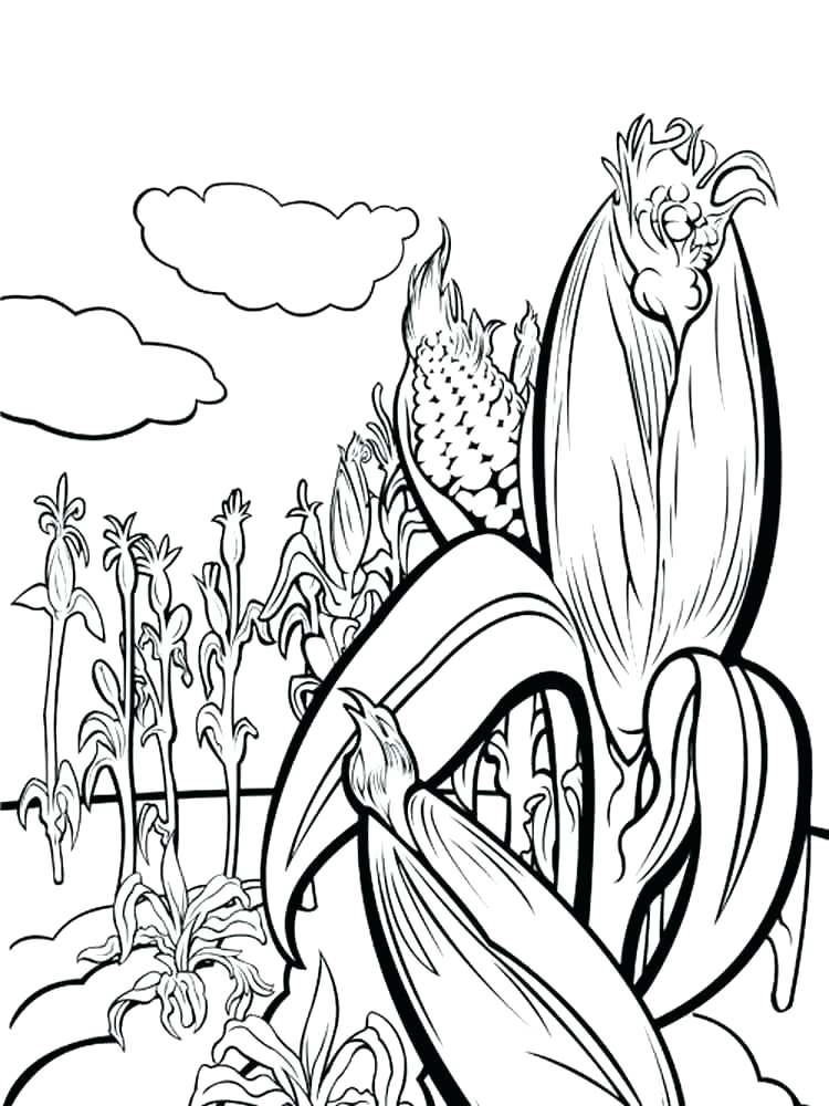 750x1000 Coloring Pages Plant Coloring Pages For Preschoolers Marine Life