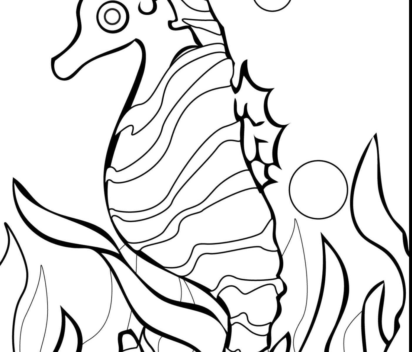 1402x1200 Findish Hidden In The Coral Reef Coloring Pageree Printable