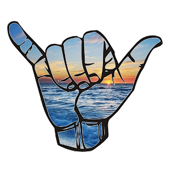 550x550 ocean sunset shaka posters