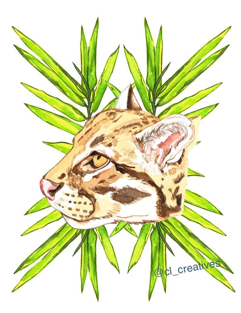 791x1024 Ocelot Art Amino