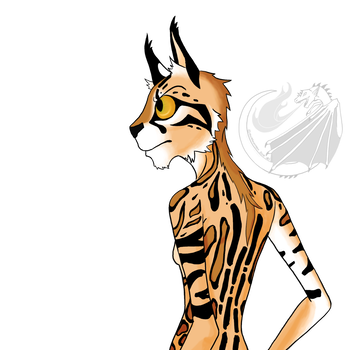 350x350 Ocelot Colors Stardust Sketch