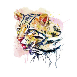 300x300 Ocelot Head Poster