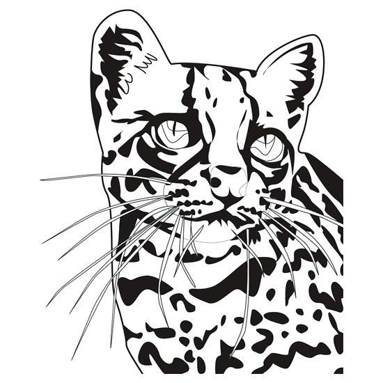 550x550 The Elusive Ocelot No Background Unisex T Shirt
