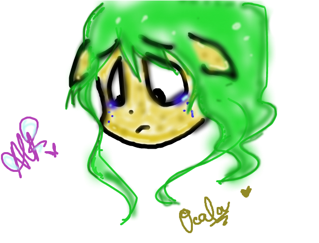 645x492 all alone ocelot