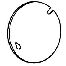 220x220 Octagon Box Covers