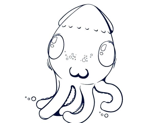 640x480 How To Draw A Octopus Step