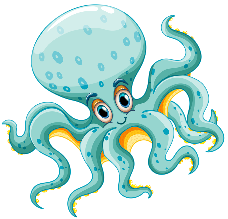 800x769 Drawing Octopus Free Download On Unixtitan