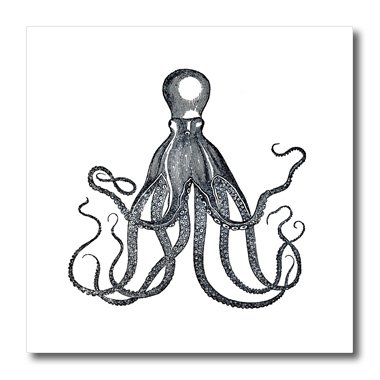 380x380 Ht Image Of A Vintage Sea Life Creature