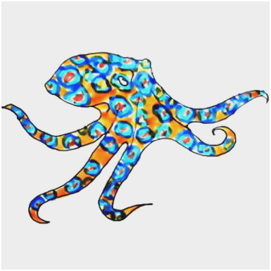 385x385 Octopus Drawing Tutorial Inspirational How To Draw An Octopus