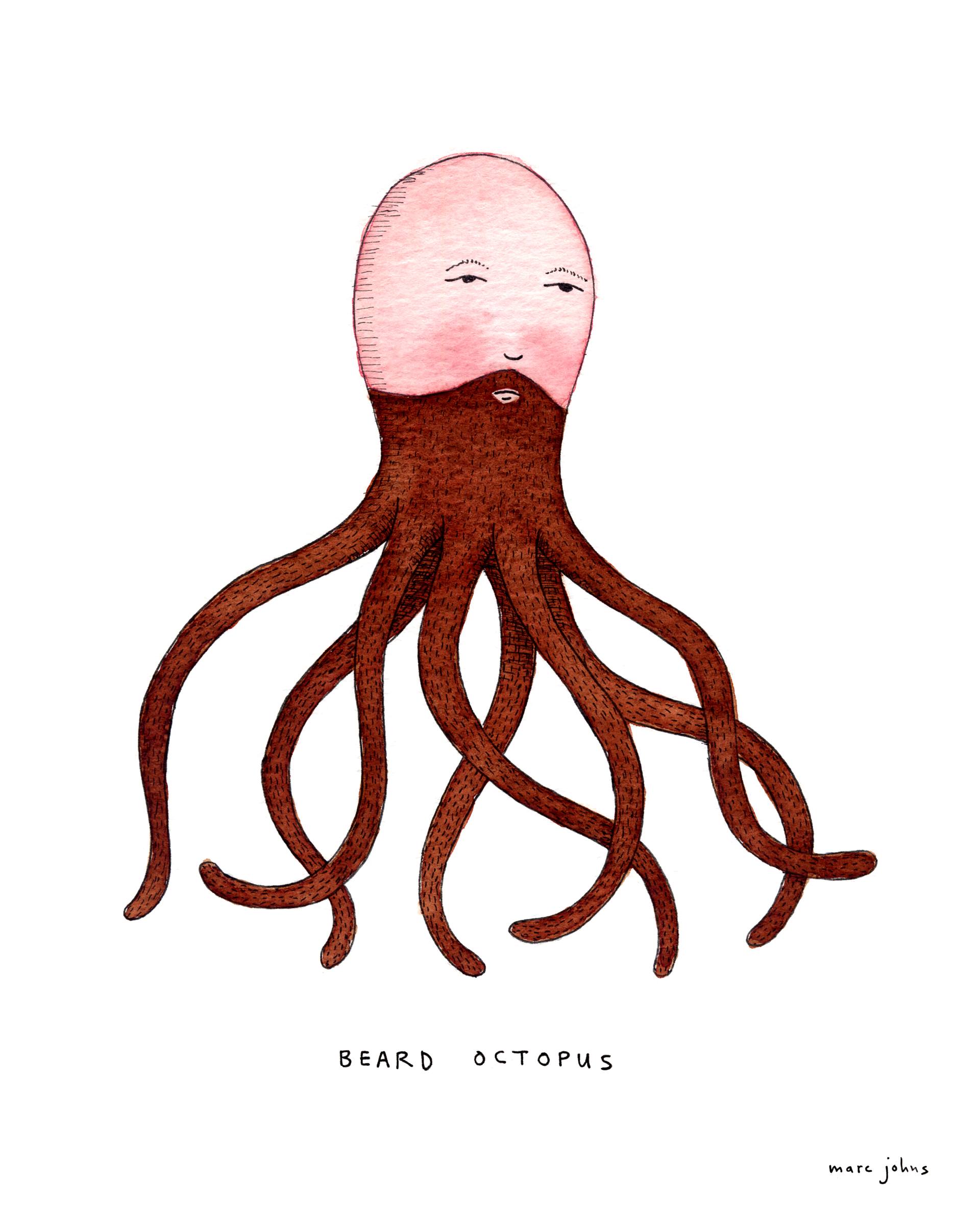 1920x2400 Beard Octopus Drawing