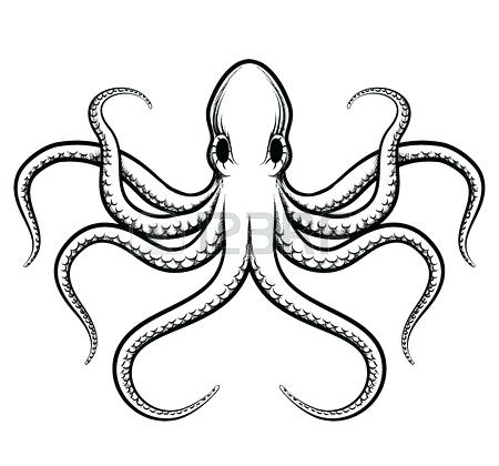 450x420 Drawing Of Squid The Giant Squid Entry Squidward Drawing Sketch