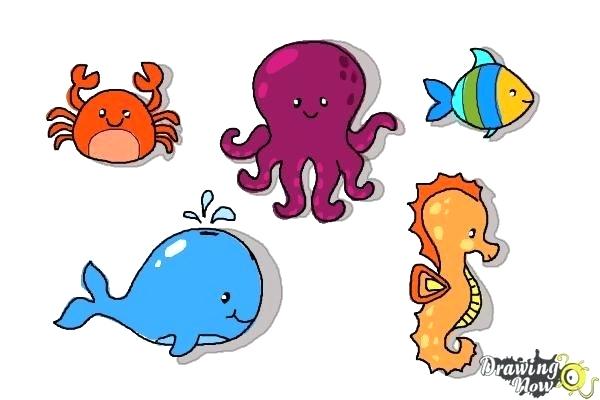 600x400 Easy Sea Creatures To Draw Sumptuous Design Ideas Octopus Images