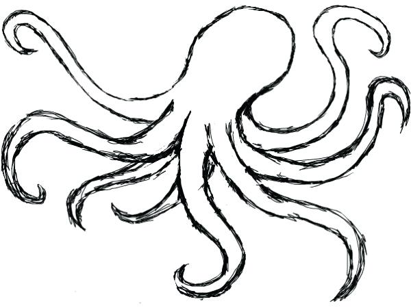600x450 Easy Octopus Drawing Learn How To Draw An For Kids A Octopus