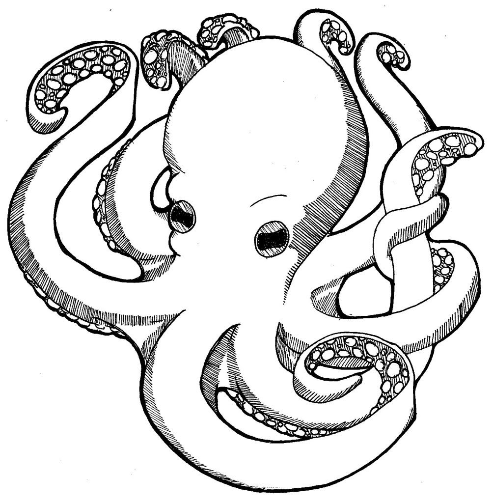 1004x1024 Free Printable Octopus Coloring Pages For Kids