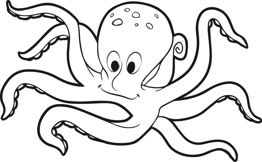 1023x632 Octopus Coloring