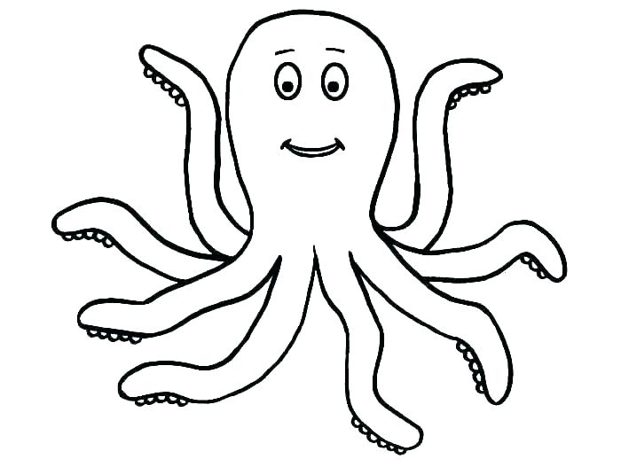 Octopus Drawing For Kids | Free download on ClipArtMag