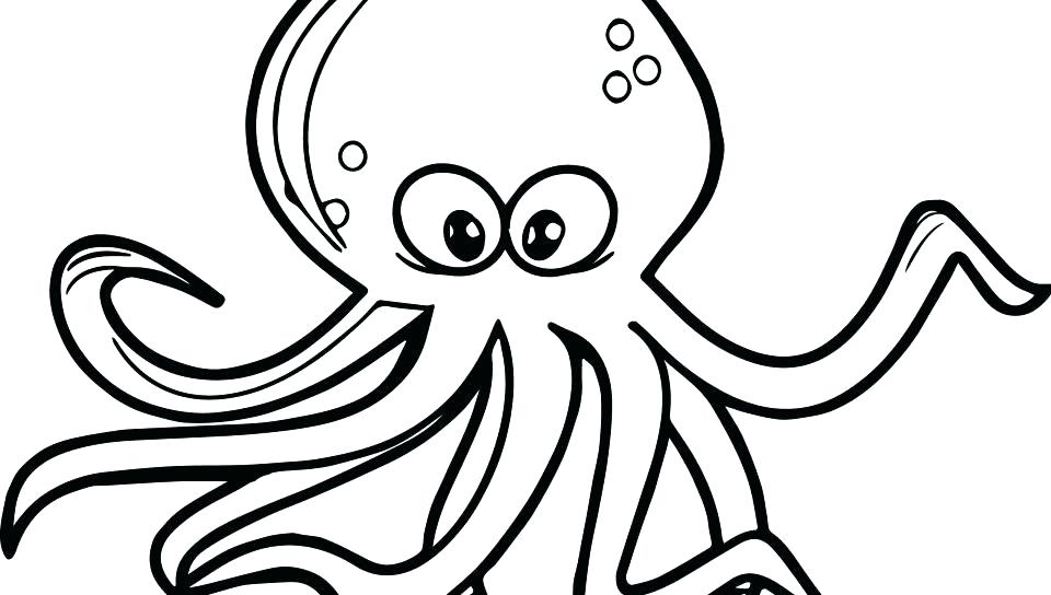 960x544 Octopus Coloring Pic Kids Color