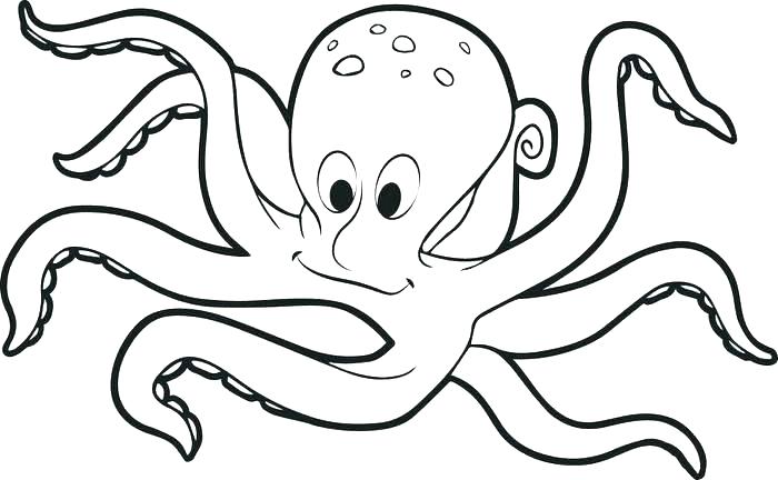 Octopus Drawing For Kids | Free download on ClipArtMag