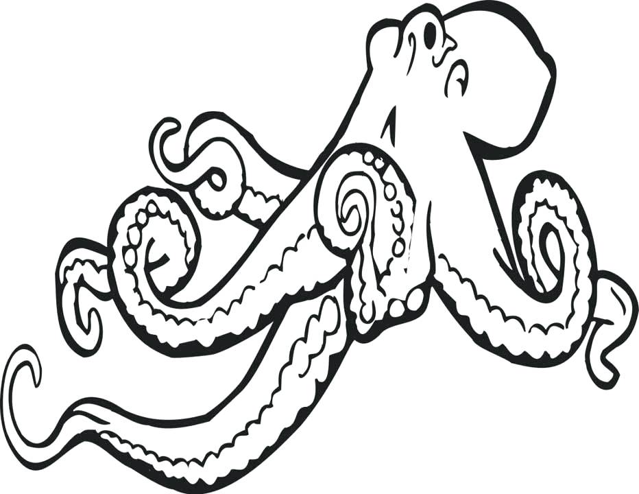 Collection of Octopus clipart | Free download best Octopus clipart on ...