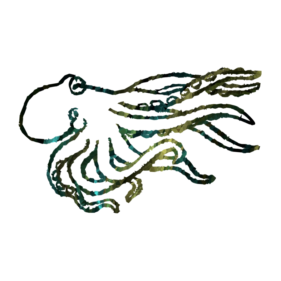 900x900 Octopus, Drawing, Line, Transparent Png Image Clipart Free Download