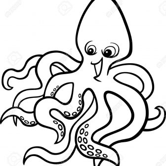 336x336 Octopus Drawing Realistic Buy Artwork Cute Easy Step