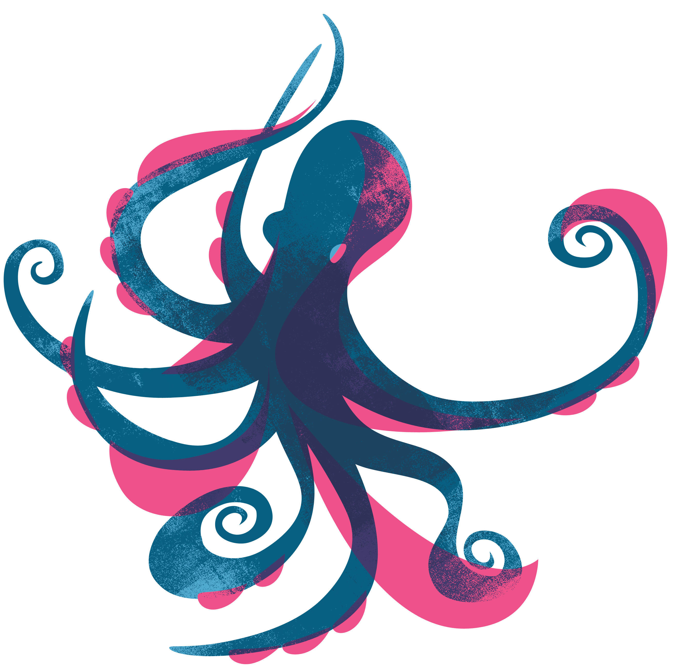 Octopus Drawing Pictures