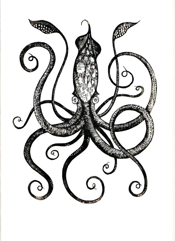 597x820 Drawing Of A Squid Squid Octopus Vector Drawing Doodle Squid