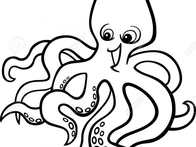 640x480 Octopus Clipart Octopus Drawing