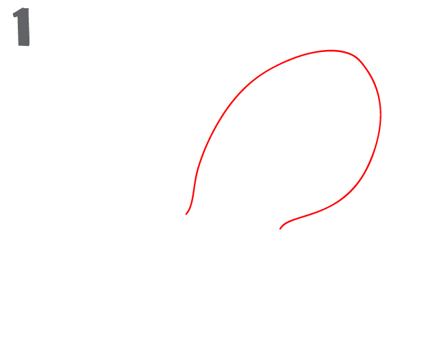 622x495 How To Draw An Octopus