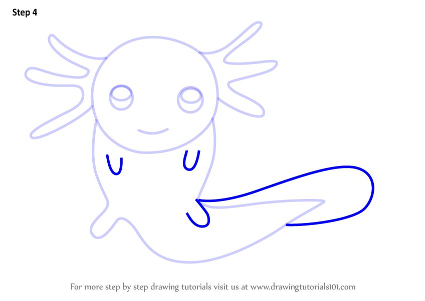 848x602 Learn How To Draw An Axolotl For Kids