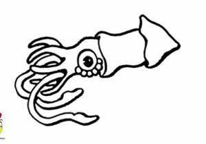 300x210 Octopus Drawing Easy How To Draw An Octopus Easy Stepstep
