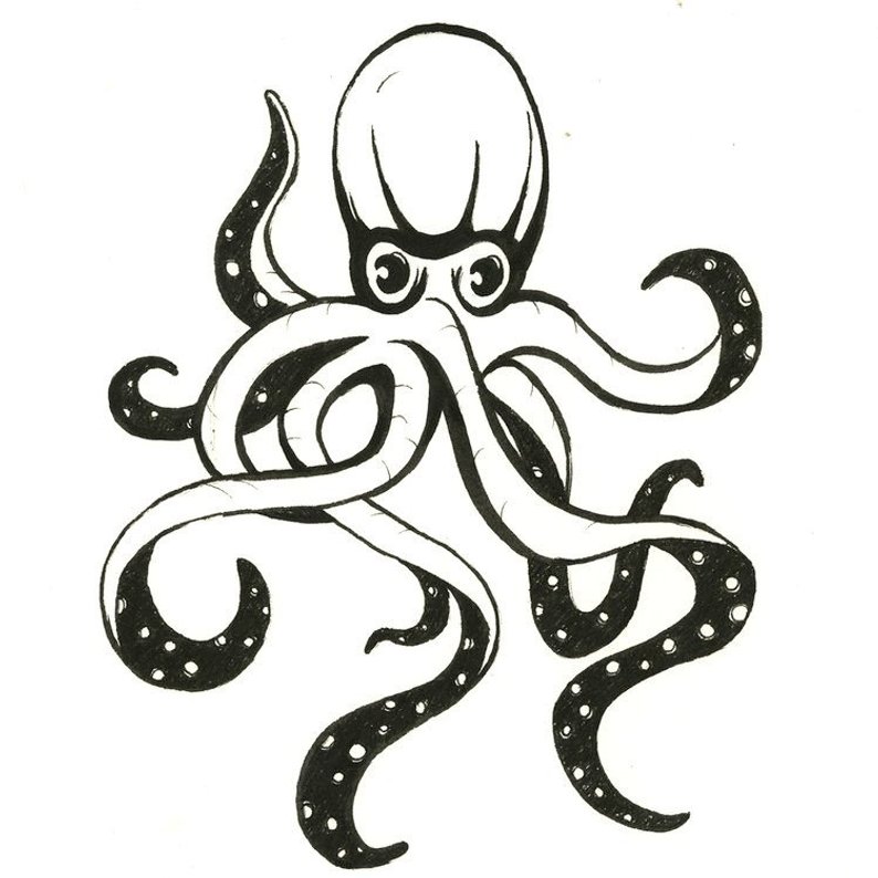 Octopus Ink Drawing | Free download on ClipArtMag