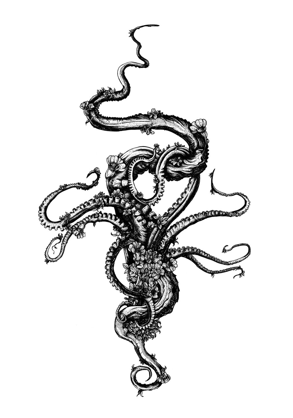 1000x1427 Octoflowers Sinpiggyhead Nicolas Come Illustration