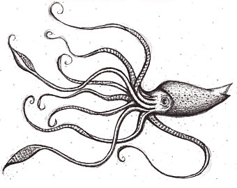 340x270 Octopus Ink Sketch Etsy