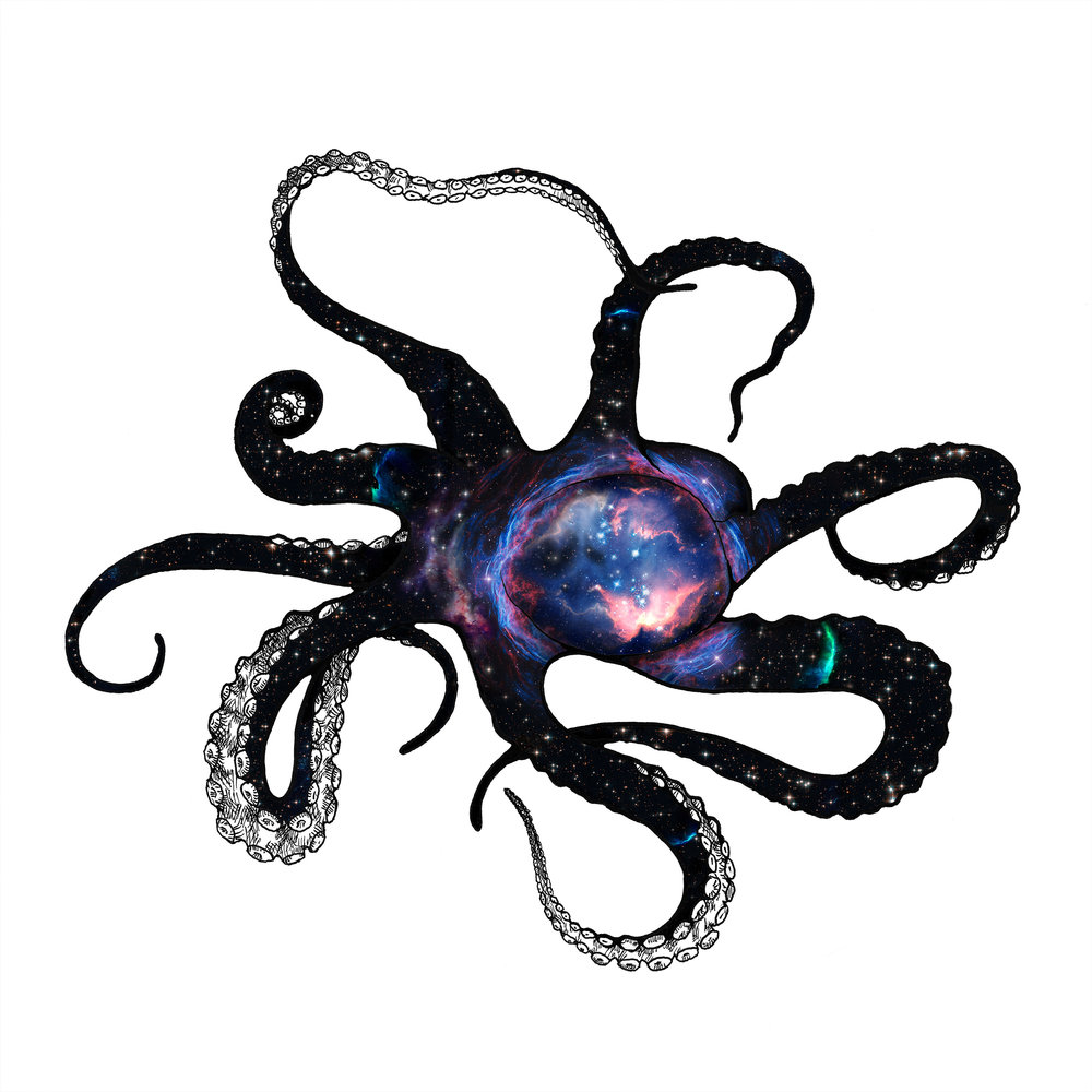 1000x1000 Rosco Brittin