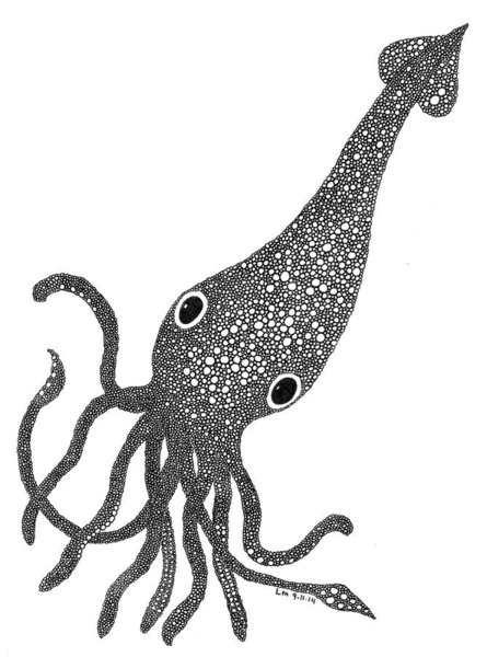 445x600 Squid Ink Drawings Fine Art America