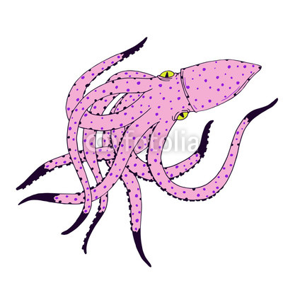 400x400 Squid Hand Drawn Sketch Illustration Ink Outline Drawing