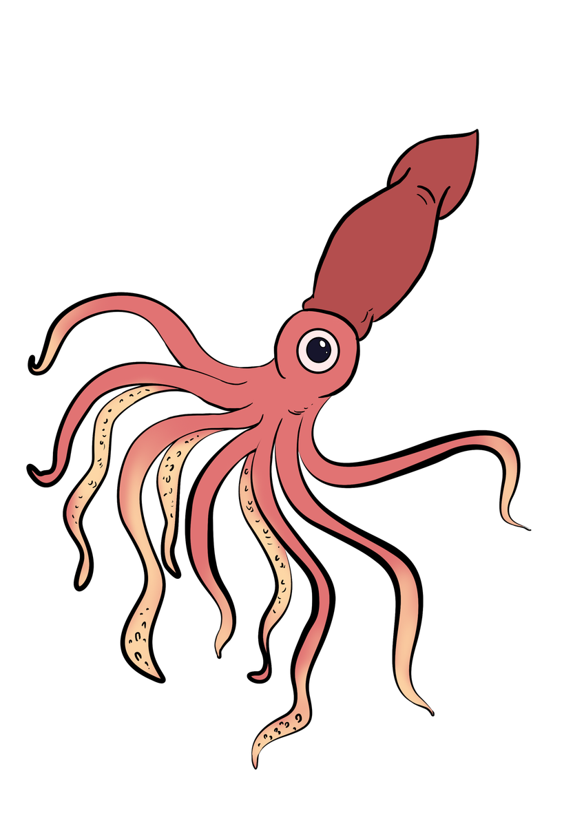 848x1200 Collection Of Free Octopus Drawing Squid Download On Ui Ex