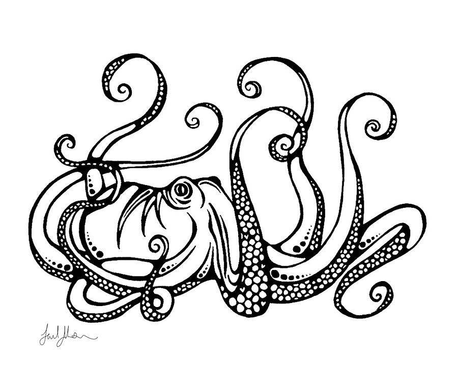900x720 Octopus Drawing